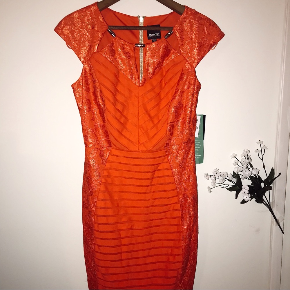 NWT Melrose Social Mandarin Dress gold accent
